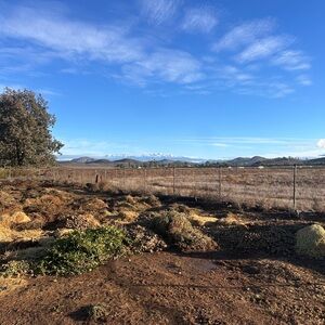 Meet your Posher, Rice